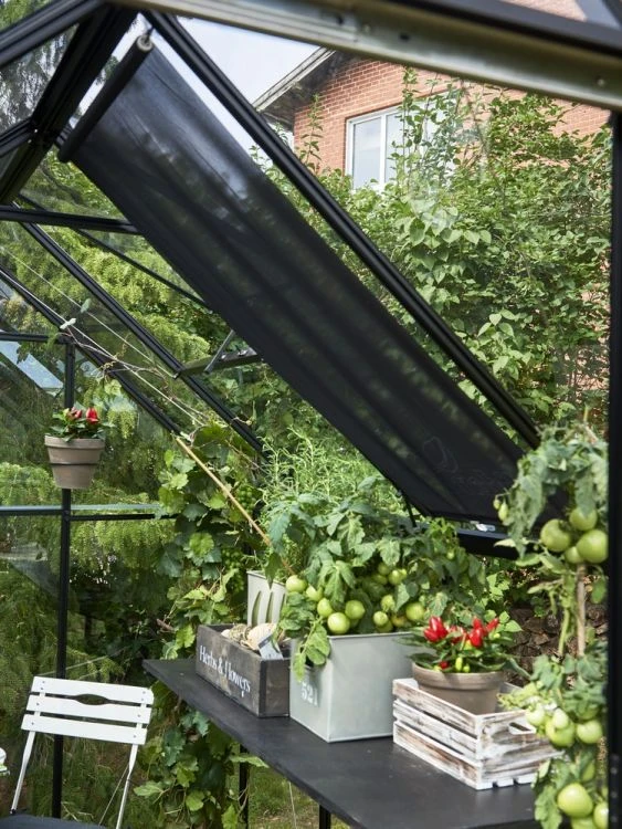 Royal Well Rolscherm 67,5 x 200 cm - Afbeelding 6